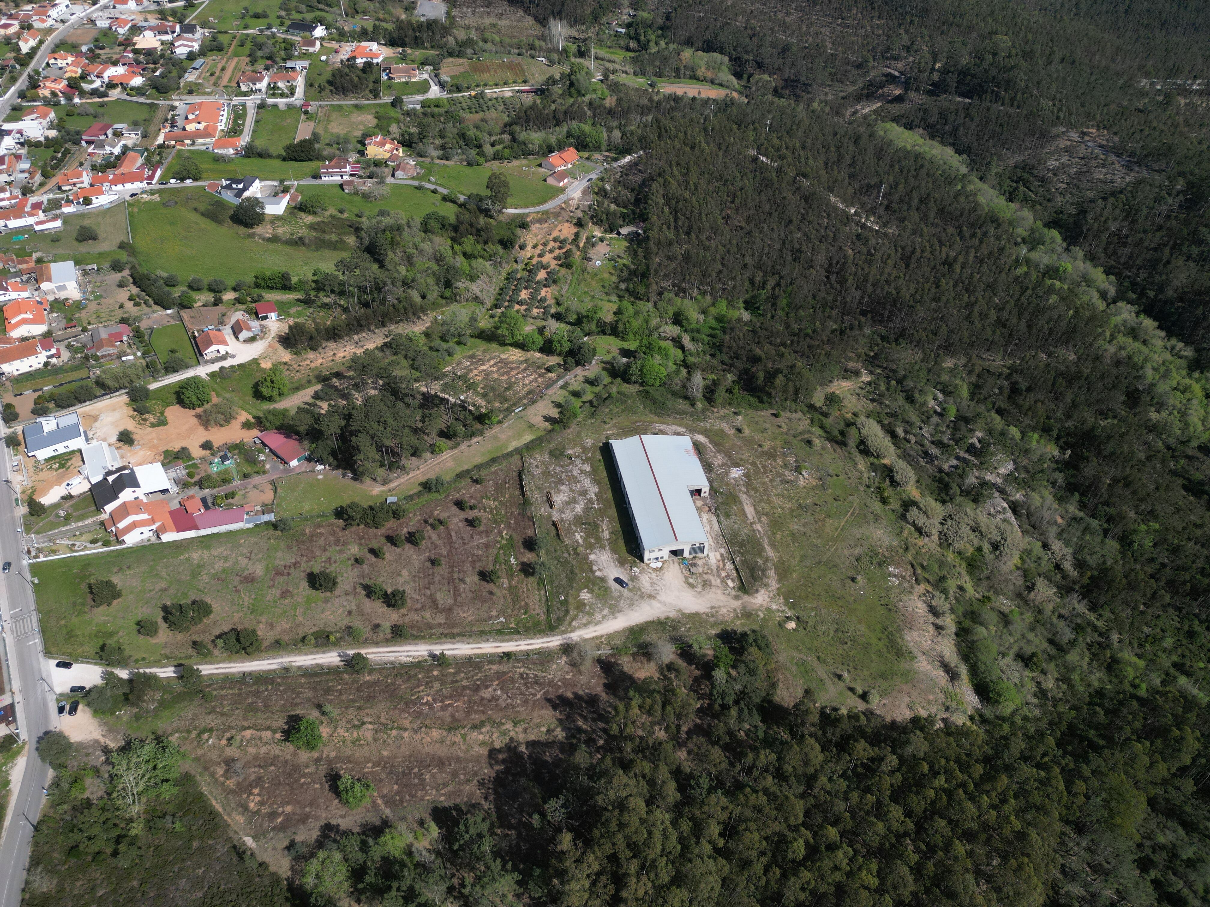 Terreno com 60390 m2 rústico urbanizável para construção na Pelariga - Pombal