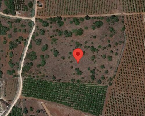 Terreno rústico com 14 700 m2 na Quebrada, ALGOZ