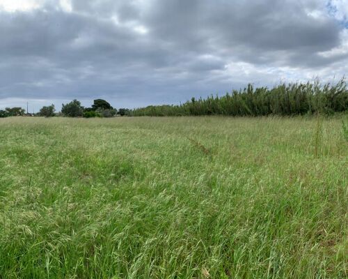 Land for agricultural and/or touristic purposes with excellent location