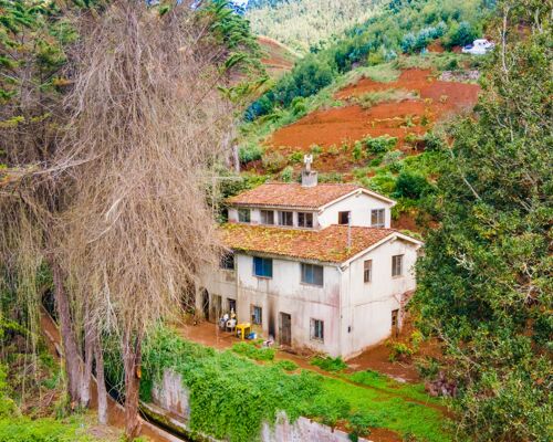 Quinta em Funchal inserida num terreno com 24.000 metros